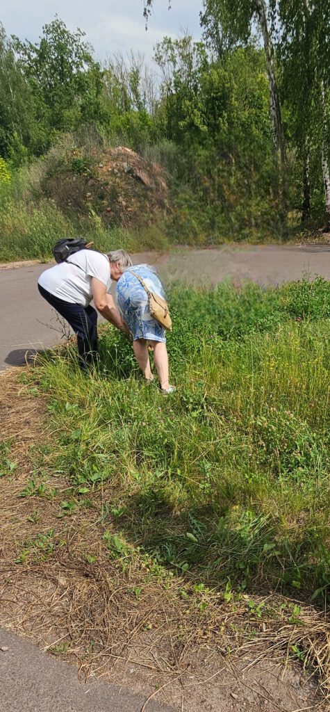 Kräuterwanderung für Trauernde