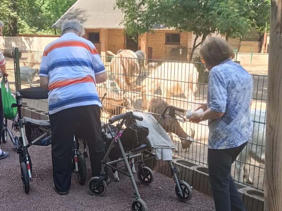Tierparkbesuch in Köthen